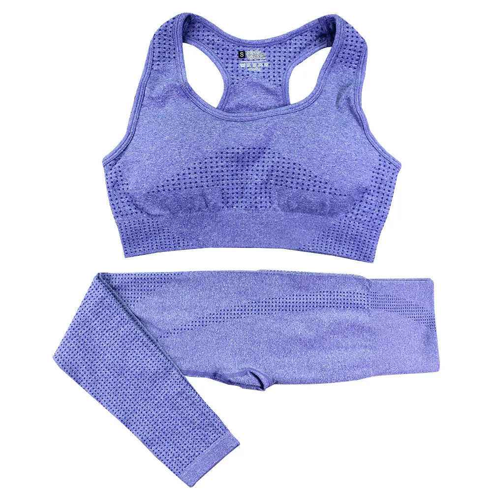 2 - Piece Seamless Yoga Set for Women - High Waist Leggings & Crop Top Gym Outfit - Leggings Co
